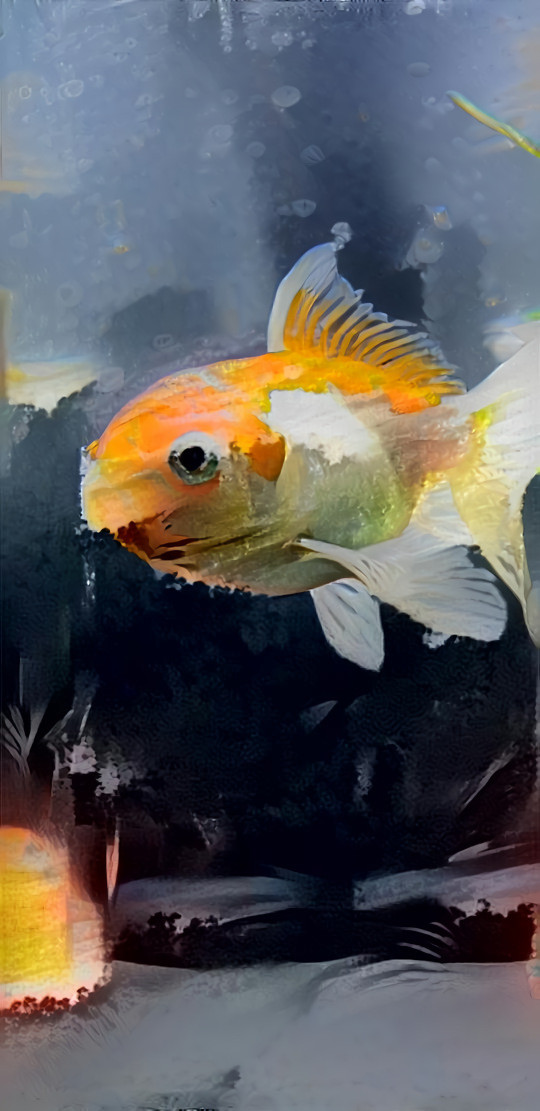 Goldfish Thick Oil Paint