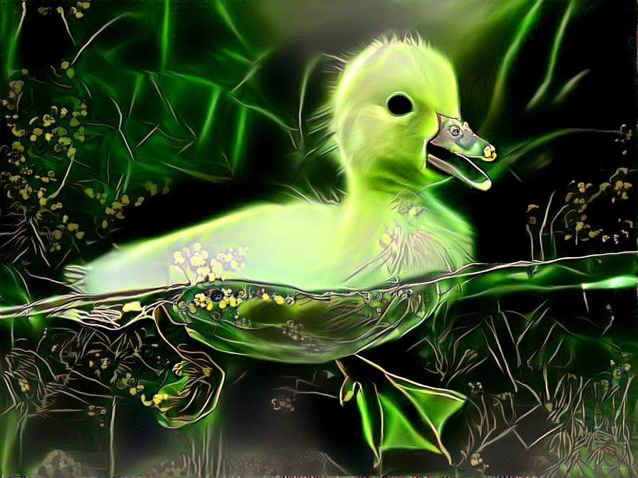 Green duck