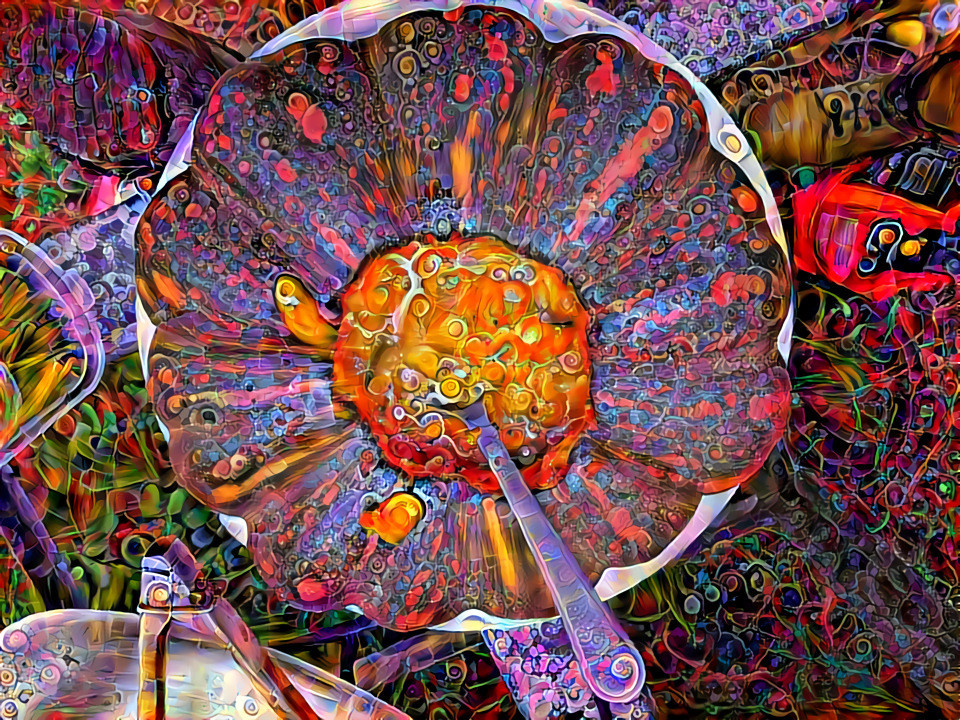 Psychedelic Porridge