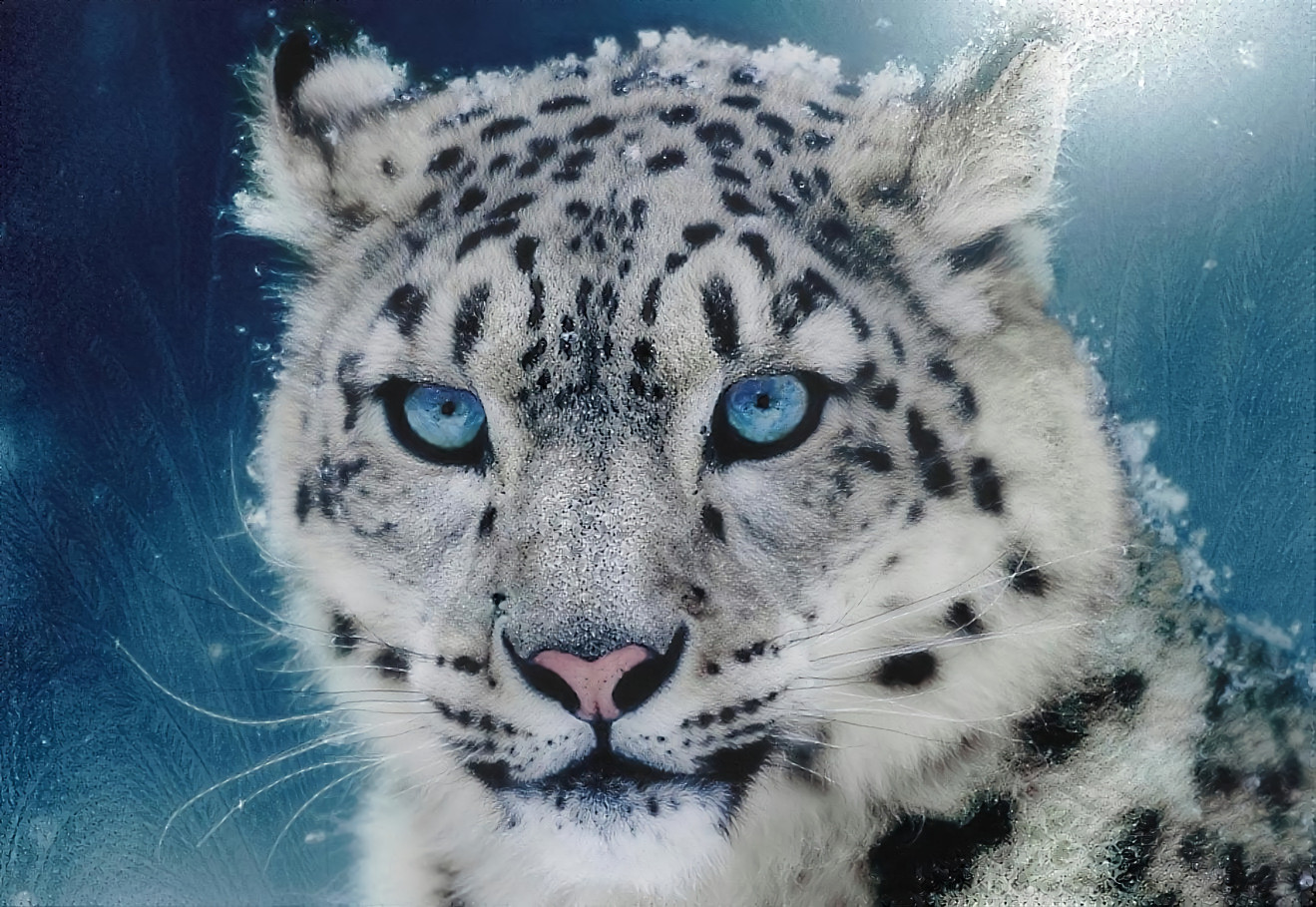 Snow Leopard