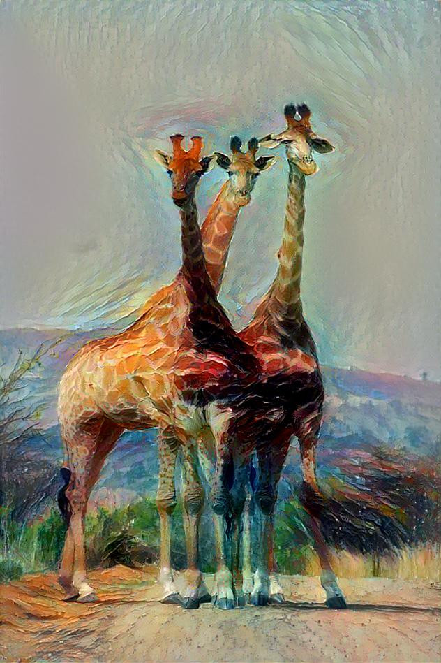 Three Giraffes