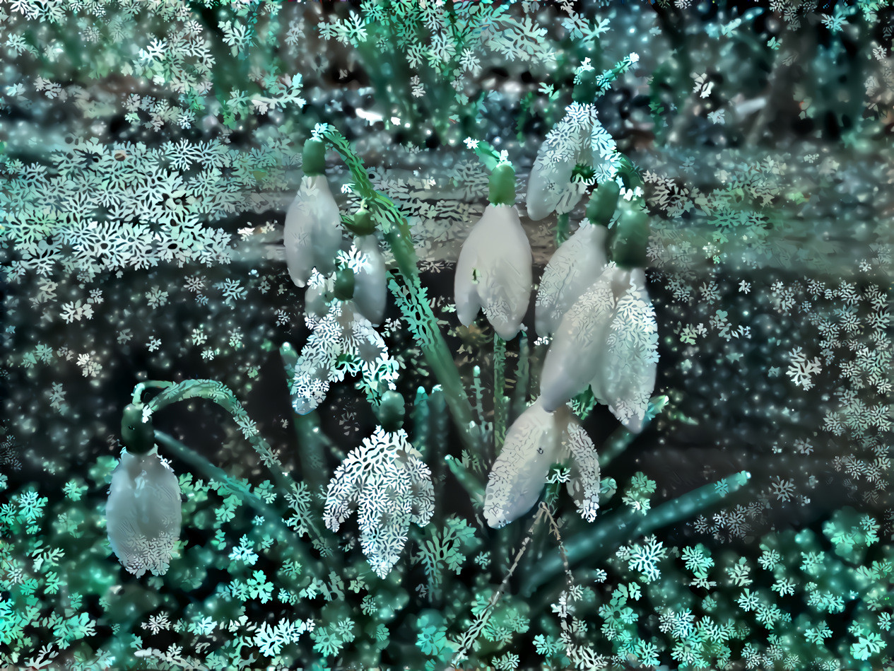 snowdrops styled with ... snow