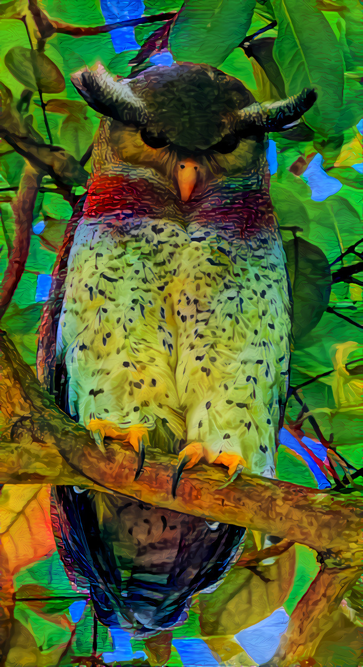 Malaysian Owl