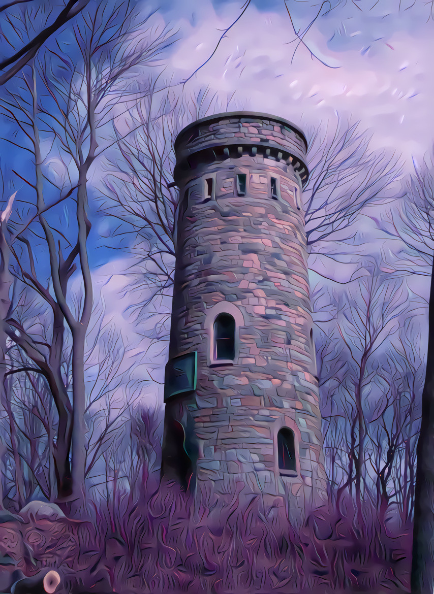 Rapunzel's Tower