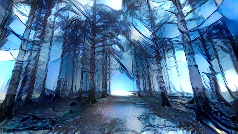 frozen forest