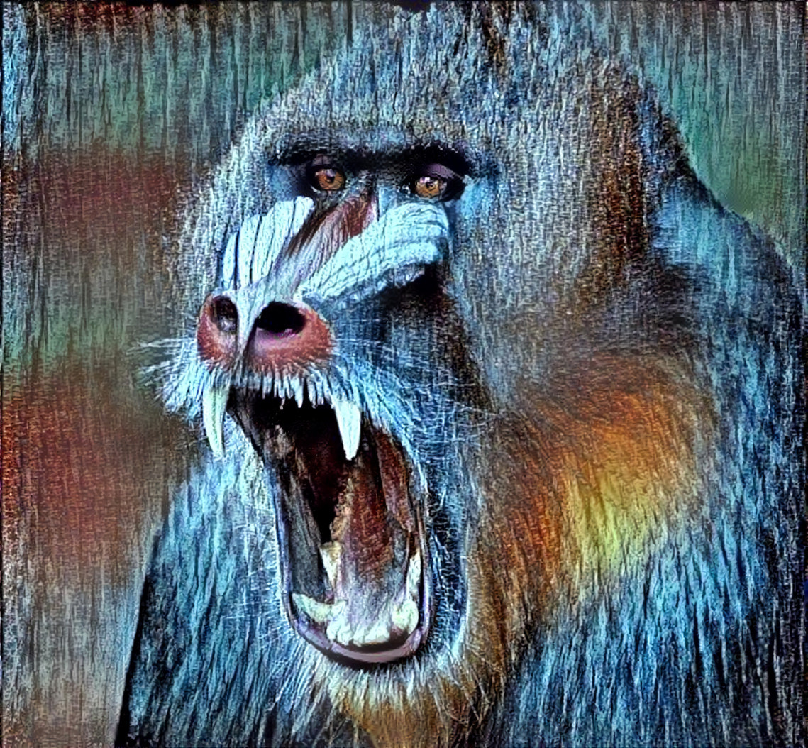 Fearless Baboon