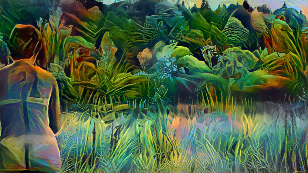 Jungle