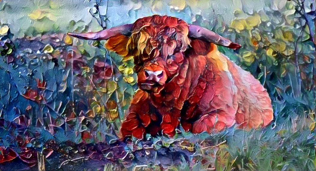 Vache