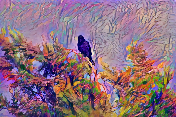 Crow In Tree