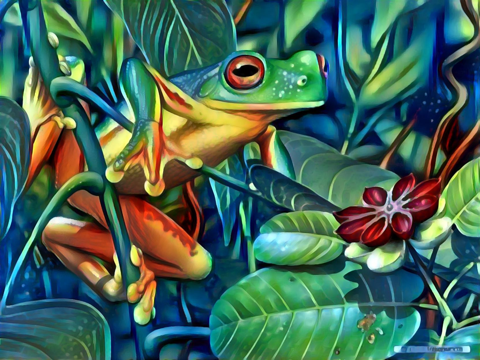 Frog in Bush