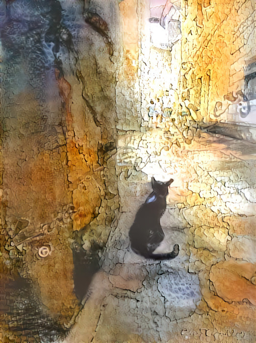 Original image: 'Black Cat in Alley' by Kris Trembley