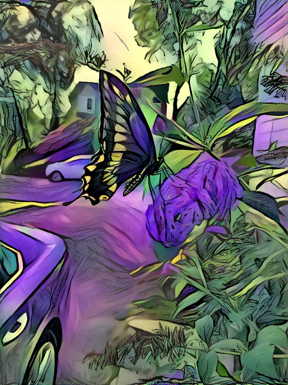 Butterfly in purple