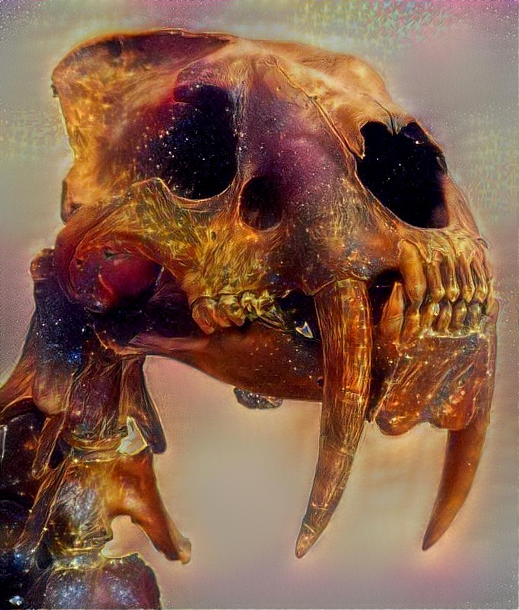 Smilodon Fatalis 