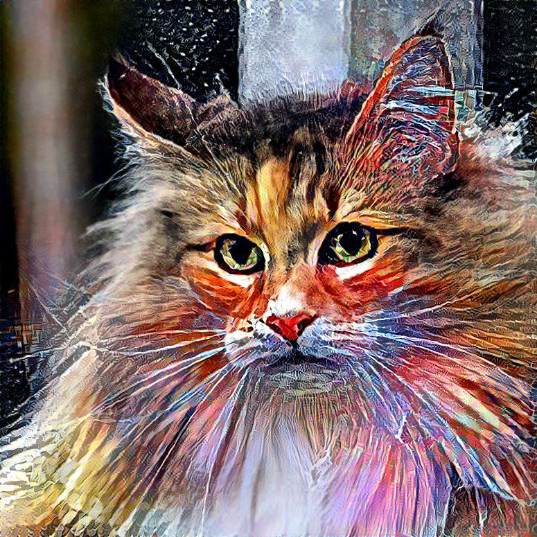 Colorful Cat