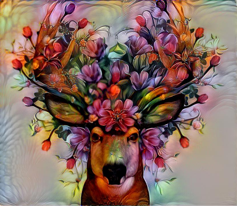 Spring Deer