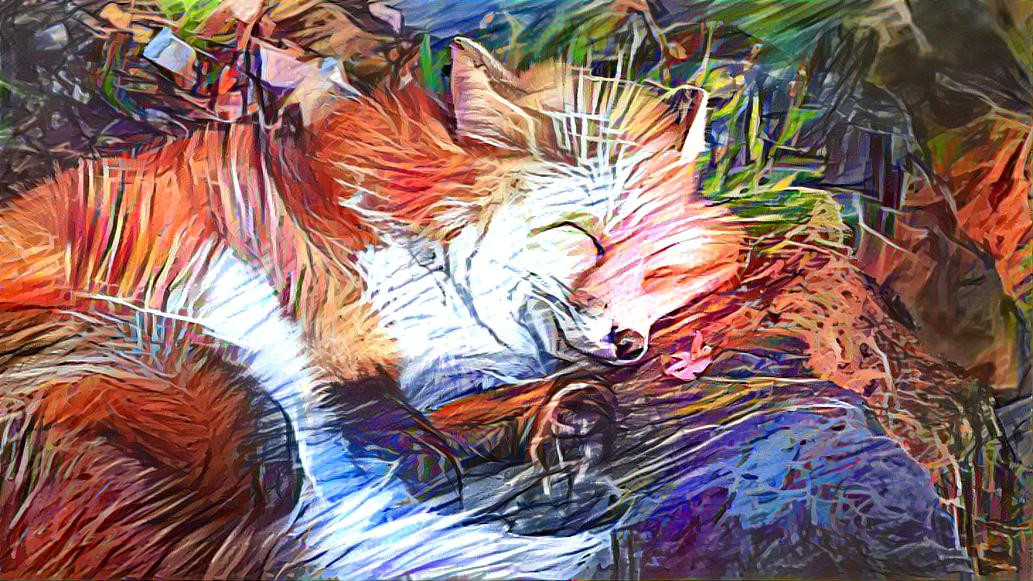 What Does the Fox Dream?