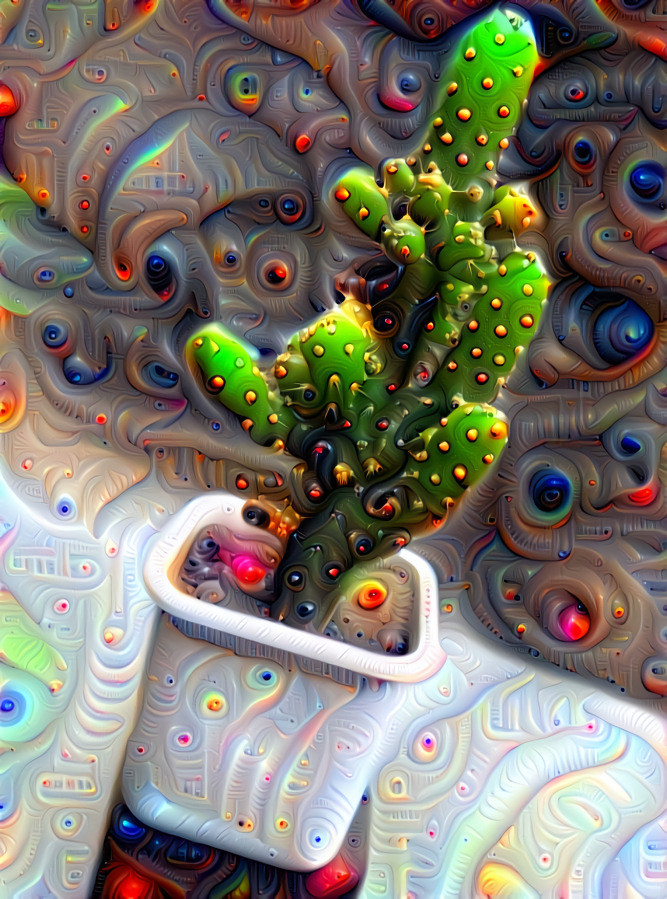 Acid Cactus