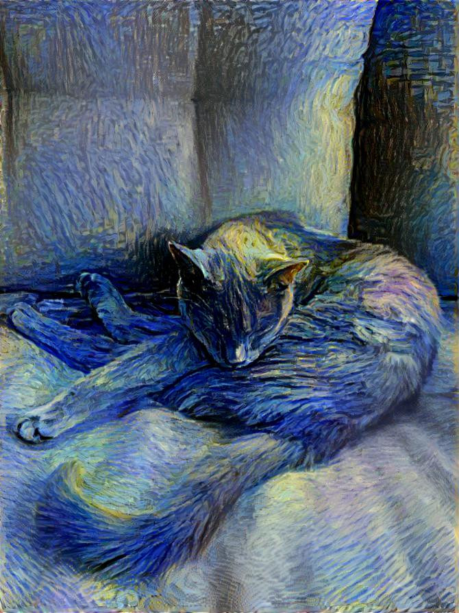 Starry Night Catto 2