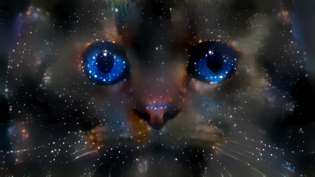 The Cat Nebula