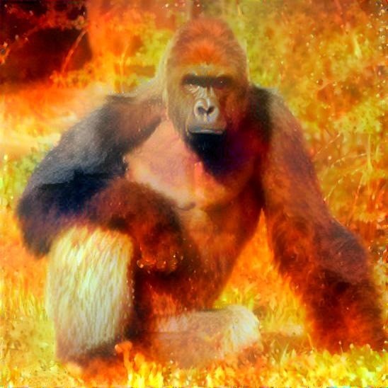 Harambe is fire!