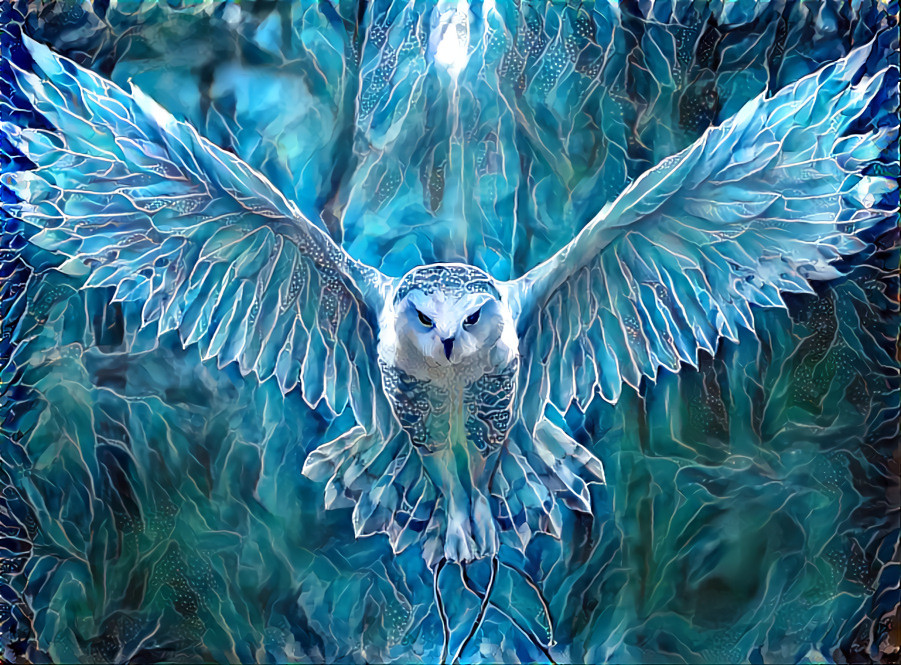 owl