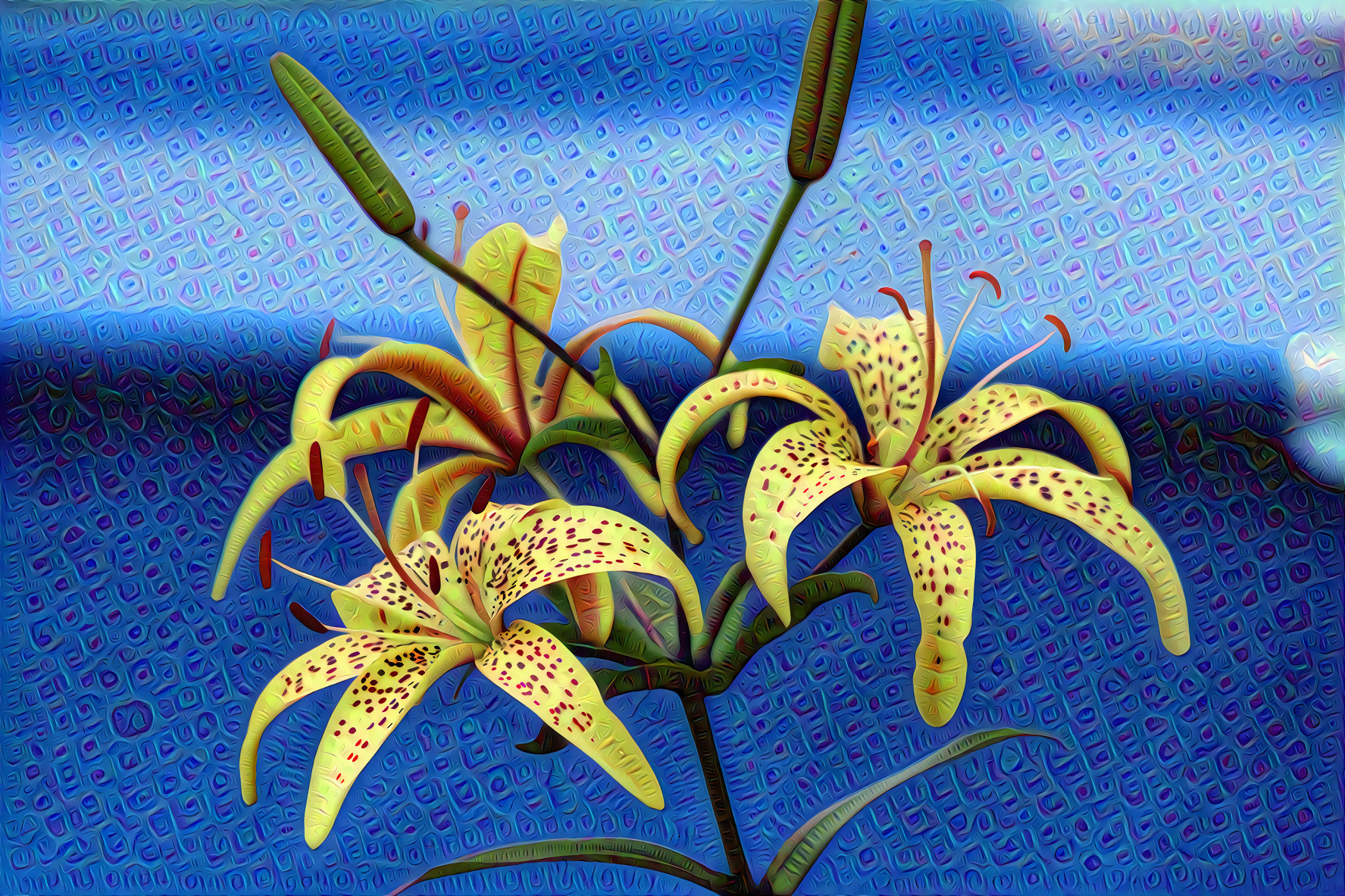 Yellow Spotted Lily - blue background