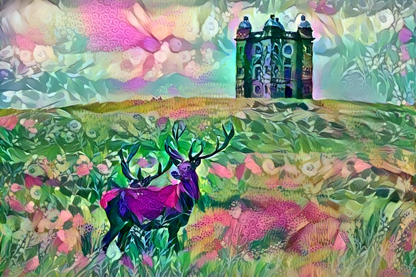 Castle and Stag