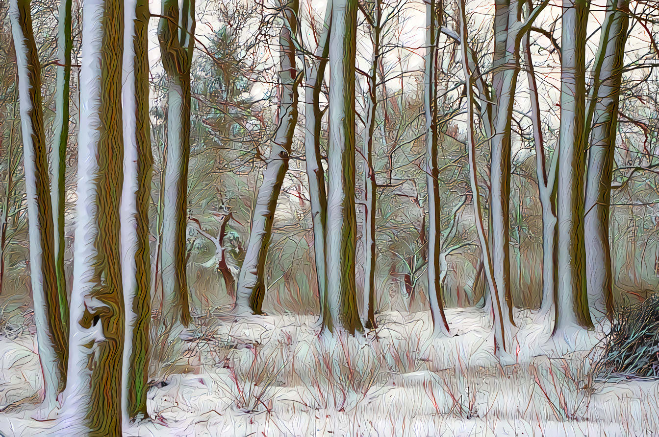 Wintry Forest Snow