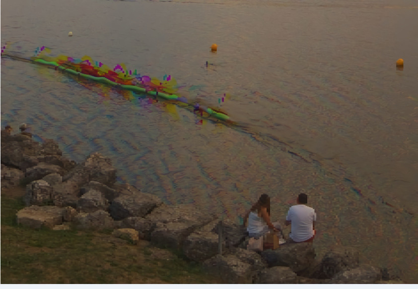 CERN Rowing Team Regatta Lac Leman Geneva Swizzle