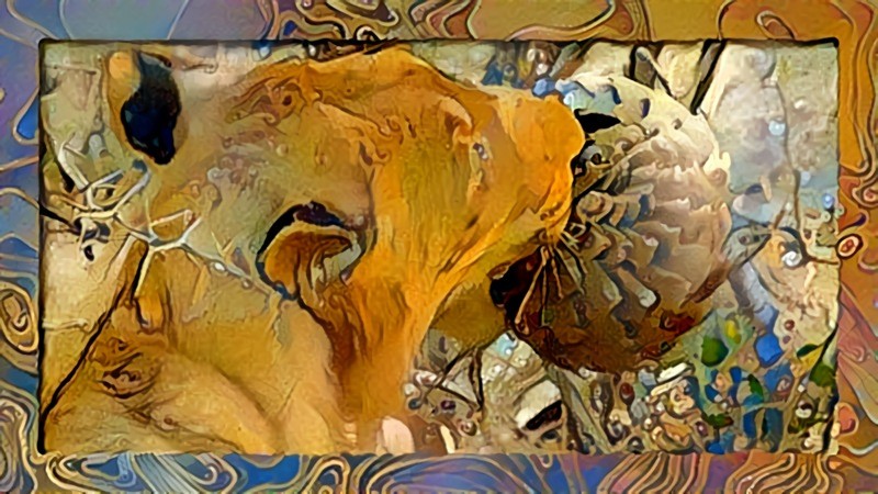 Lion with Pangolin