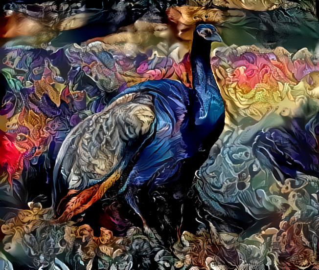 Peacock