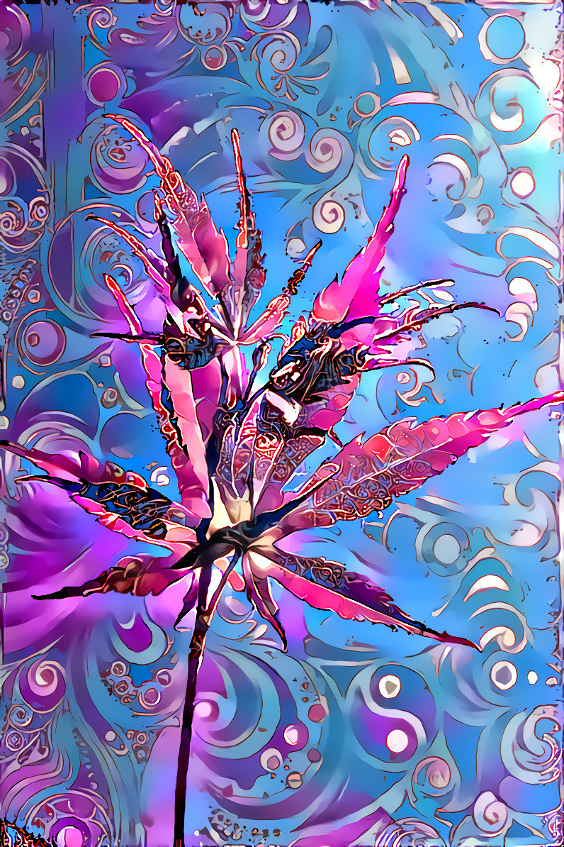 Japanese maple 2 overlaid purple flowers 1 adj 2