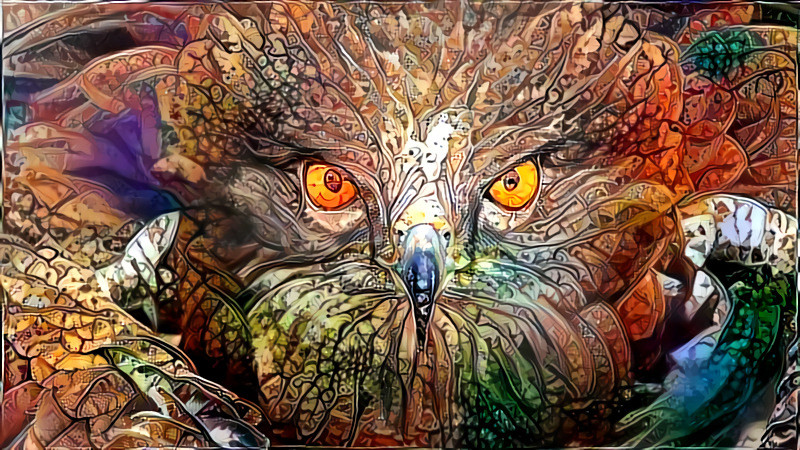 Deep Dream: Hawk