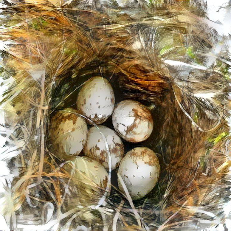 Chickadee Eggs 