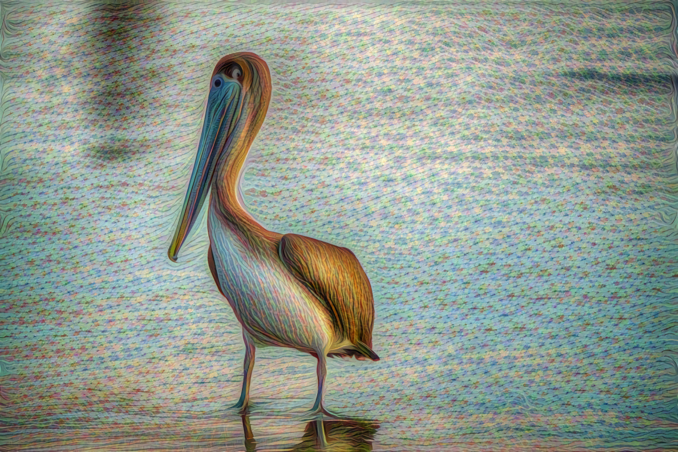 Pelican on the Beach