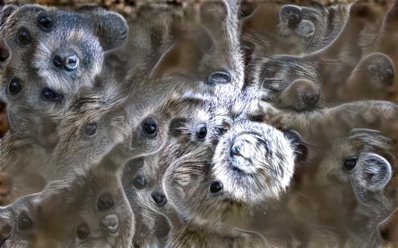 Hyraxy fractal 2