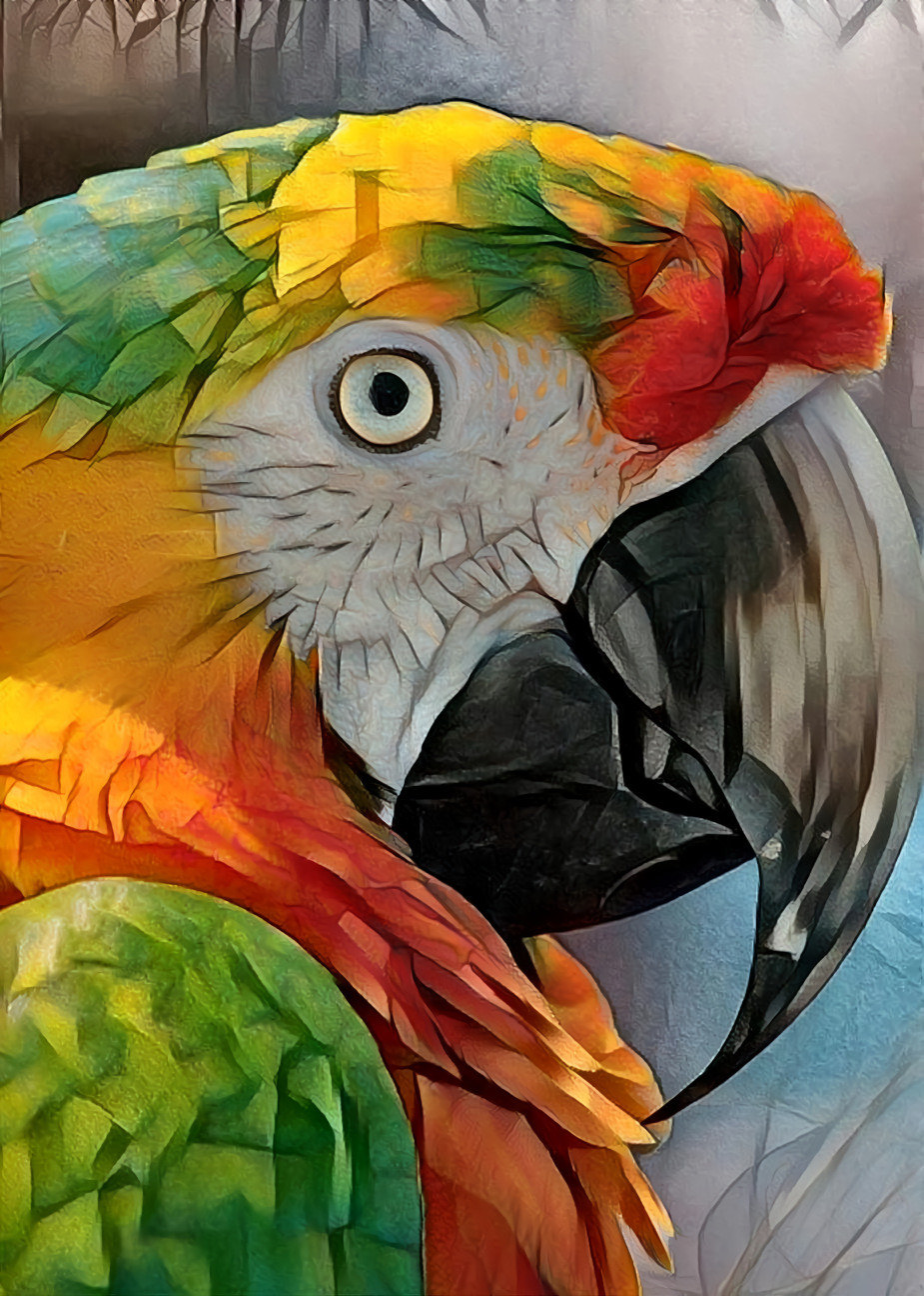 parrothead