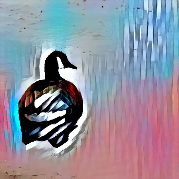 Duck 1