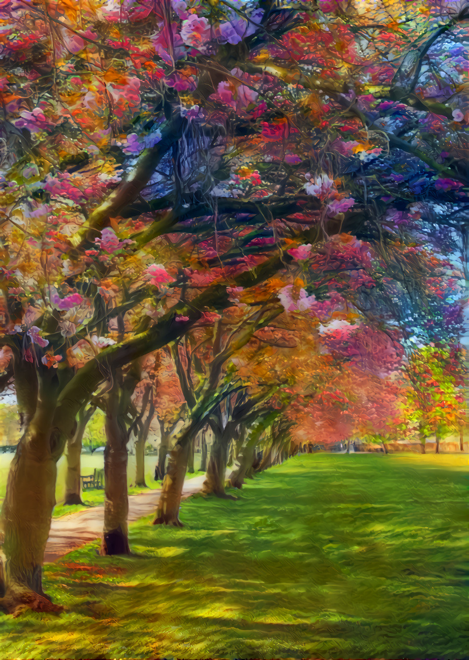 The Colorful Path To Walk