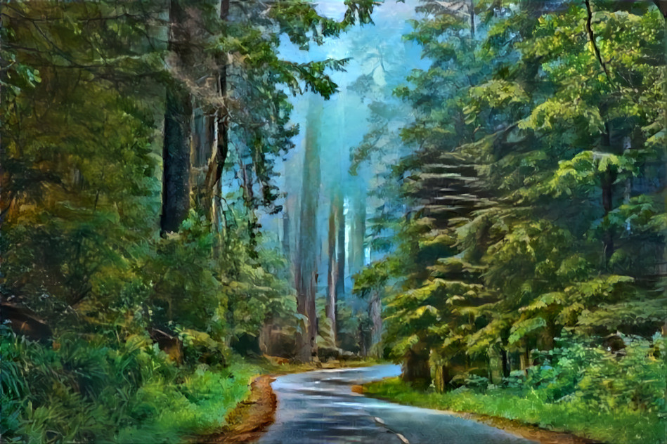 Forest road