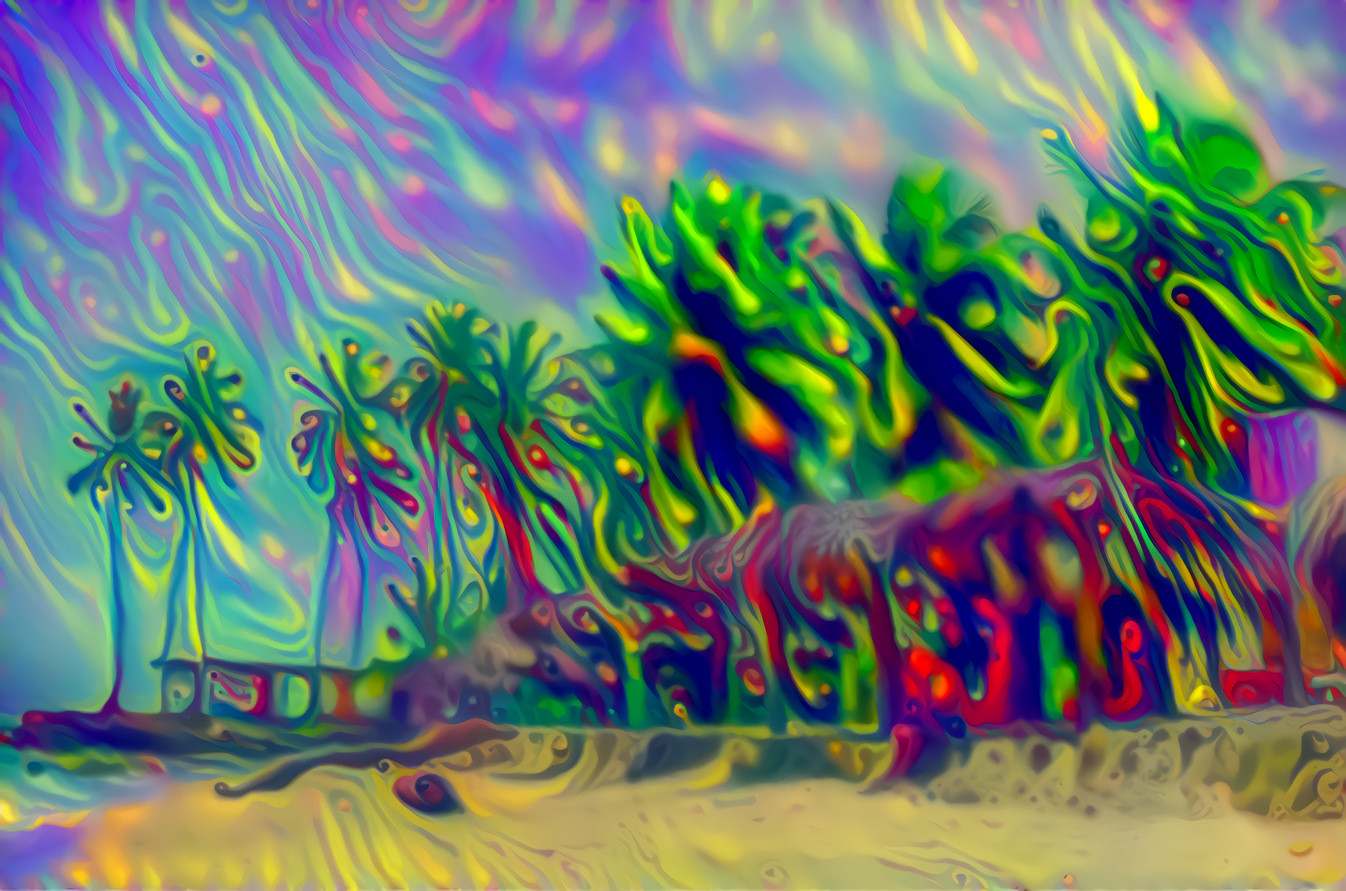 Acid Oasis