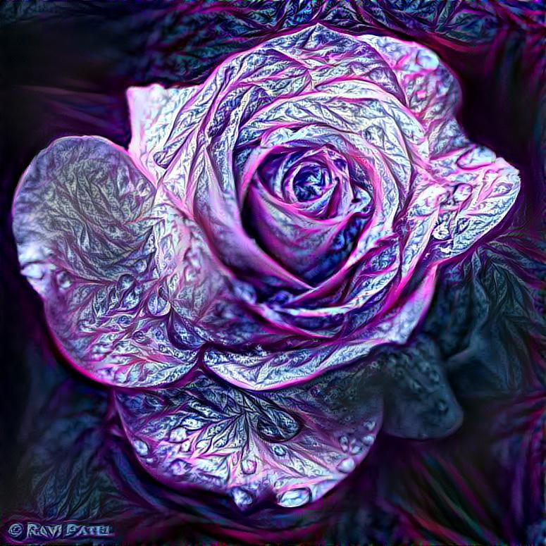 crystal rose