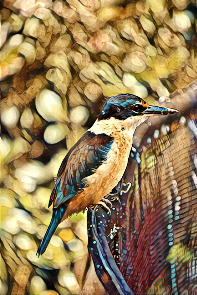 Kingfisher