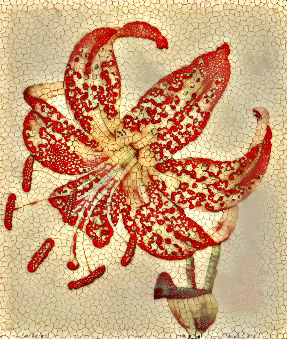 tiger lily 