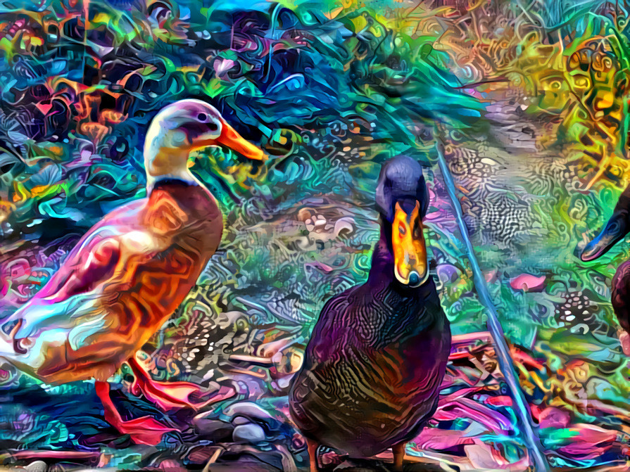 Ducks in the Strange World