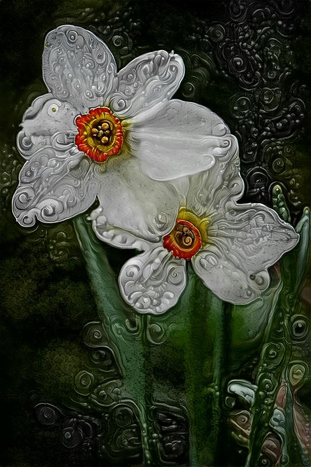 Narzissus