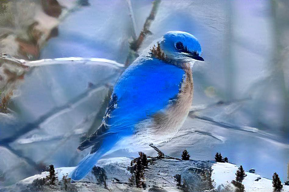 Bright Blue Bird