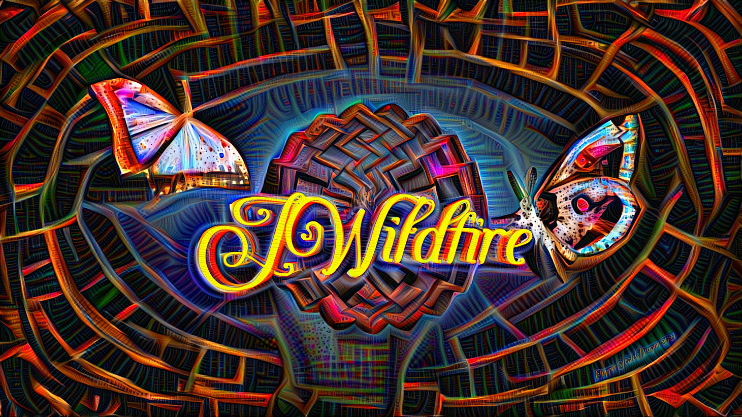 JWildfire Fun Time