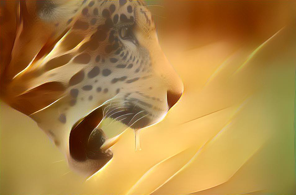 Golden Radiant Jaguar