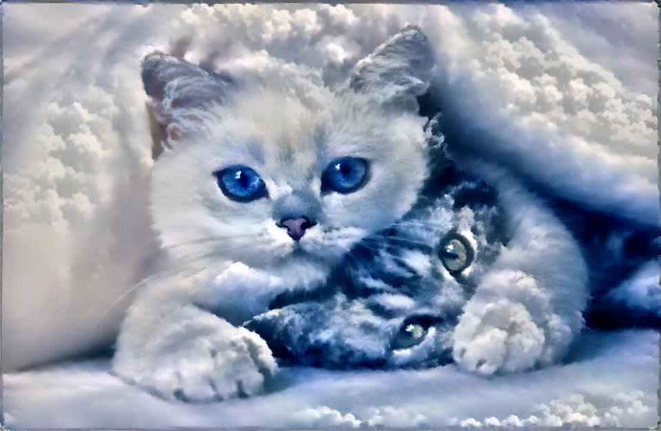 Cloudcats 